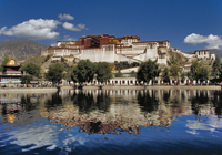 Lhasa-thumb-200x140