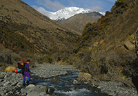 Inland_Kaikouras_Aug07_0033 200x140