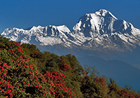 Annapurna_201 200x140