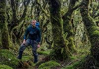 Tararua New Zealand mountain images and information