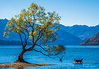 Wanaka New Zealand mountain images and information