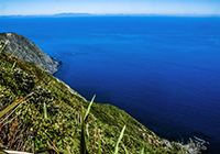 Kapiti Island New Zealand landscape images - occasionalclimber.co.nz