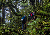 Orongorongo New Zealand mountain images and information