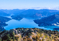 Queen Charlotte New Zealand landscape, culture, travel images
