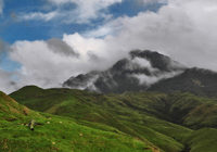 Hikurangi (Buy)