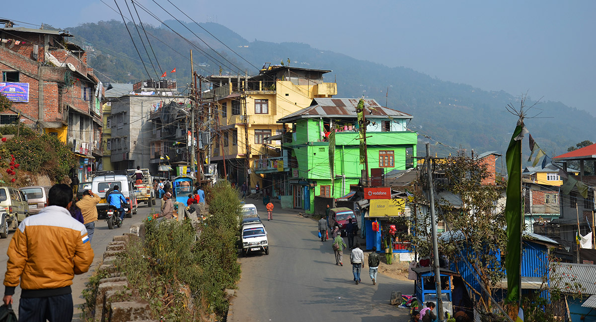 Kalimpong, January 2014 - Occasional Climber