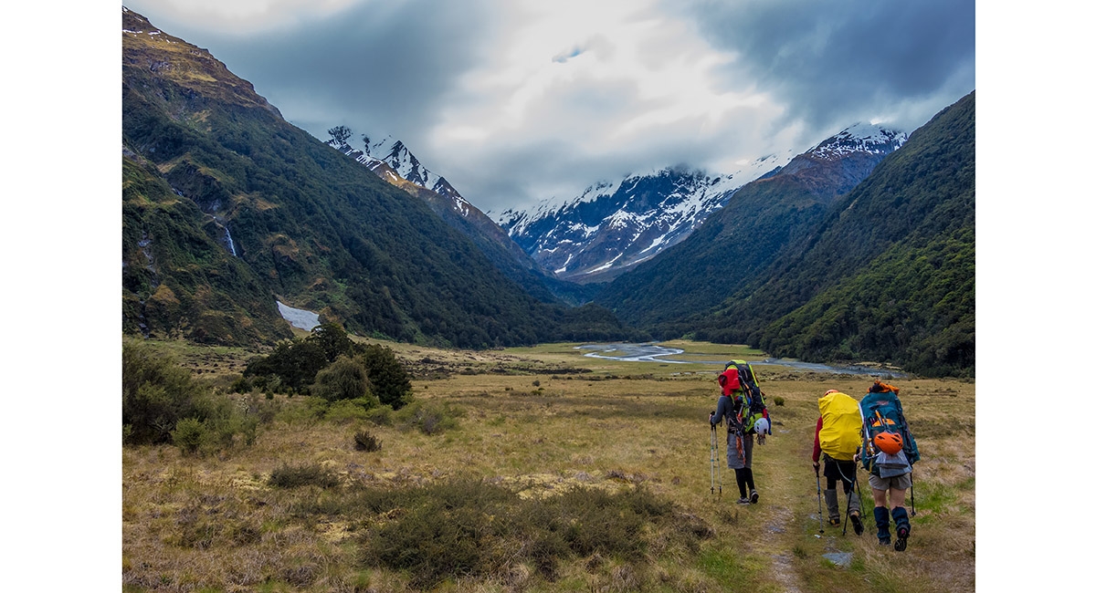 New Zealand Snowline South Island New Zealand Snowline South Island