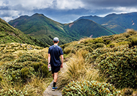 Pouakai and Pukeiti New Zealand mountain images and information