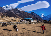 Find specific mountain images and information easily Khumbu Nepal Himalaya