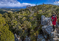 Mt Evans New Zealand mountain images and information - occasionalclimber.co.nz