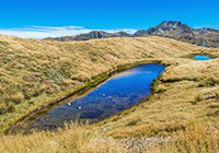 Lewis Pass New Zealand mountain images and information